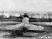 Fokker D.VII 244/18 (Greg Van Wyngarden)